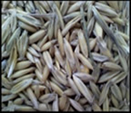 Oats